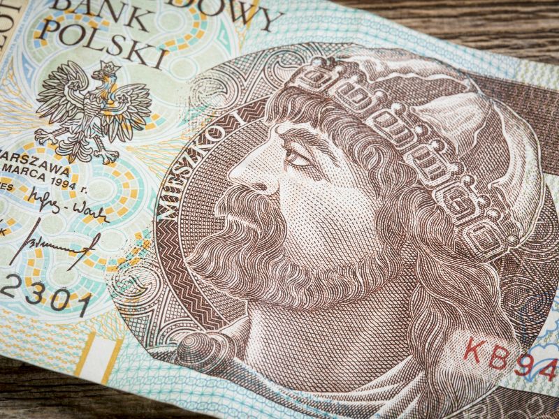 Mieszko I – pierwszy władca Polski